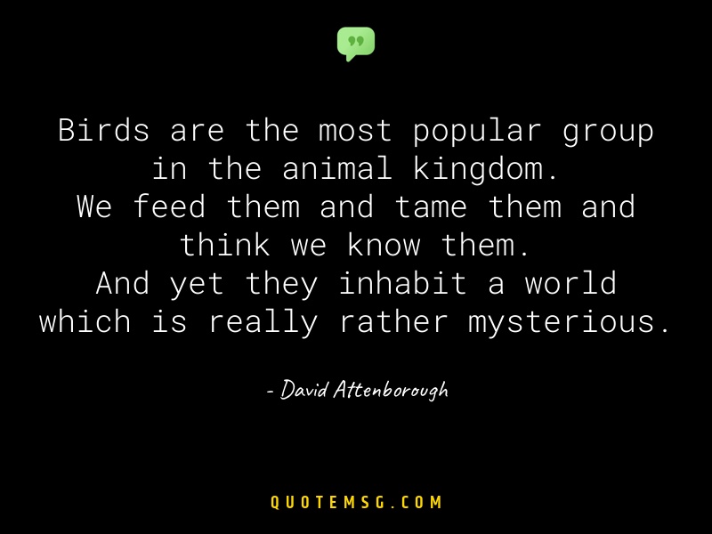 Image of David Attenborough