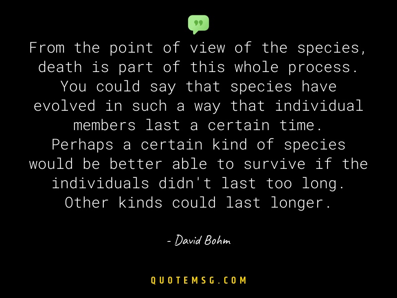 Image of David Bohm