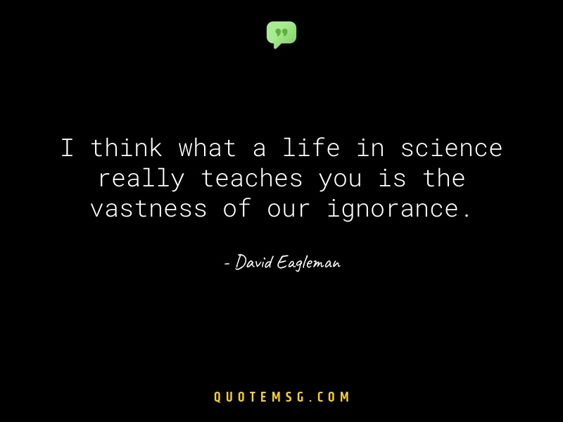 Image of David Eagleman