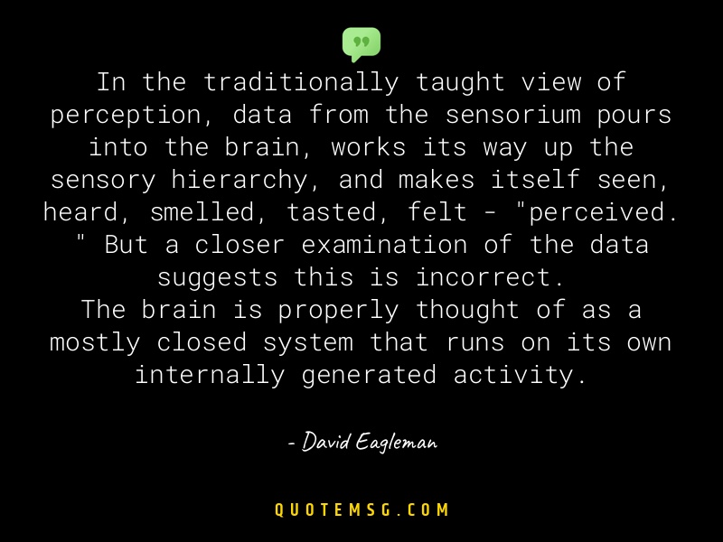 Image of David Eagleman