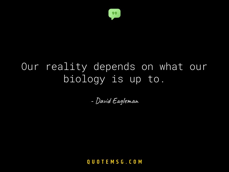 Image of David Eagleman