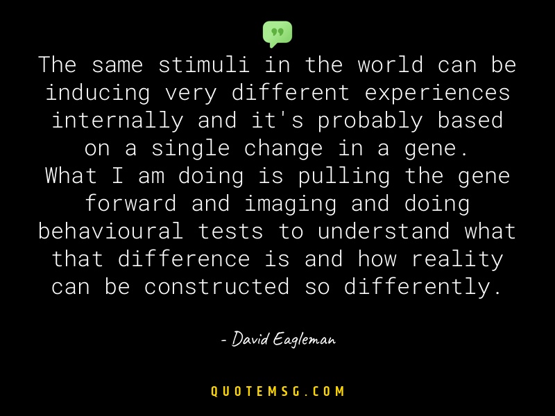 Image of David Eagleman