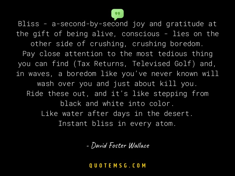 Image of David Foster Wallace