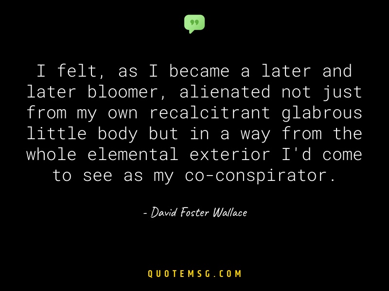 Image of David Foster Wallace