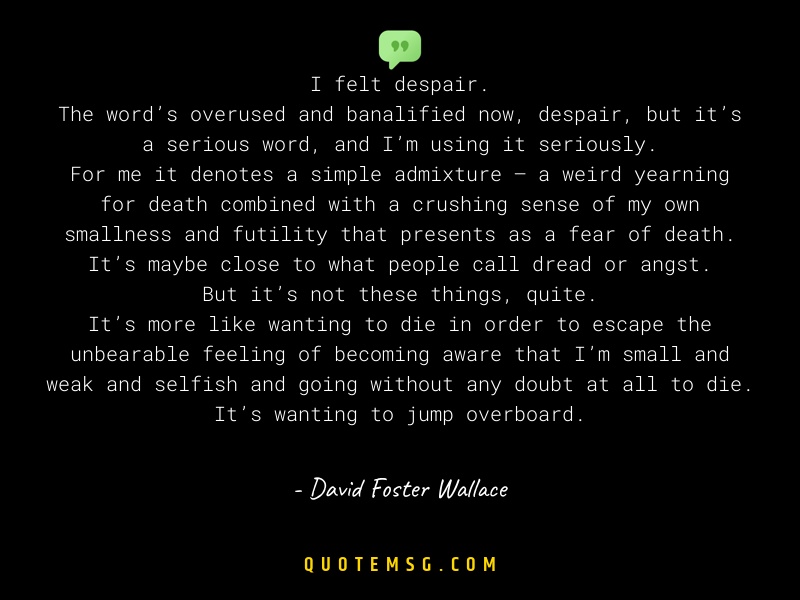 Image of David Foster Wallace