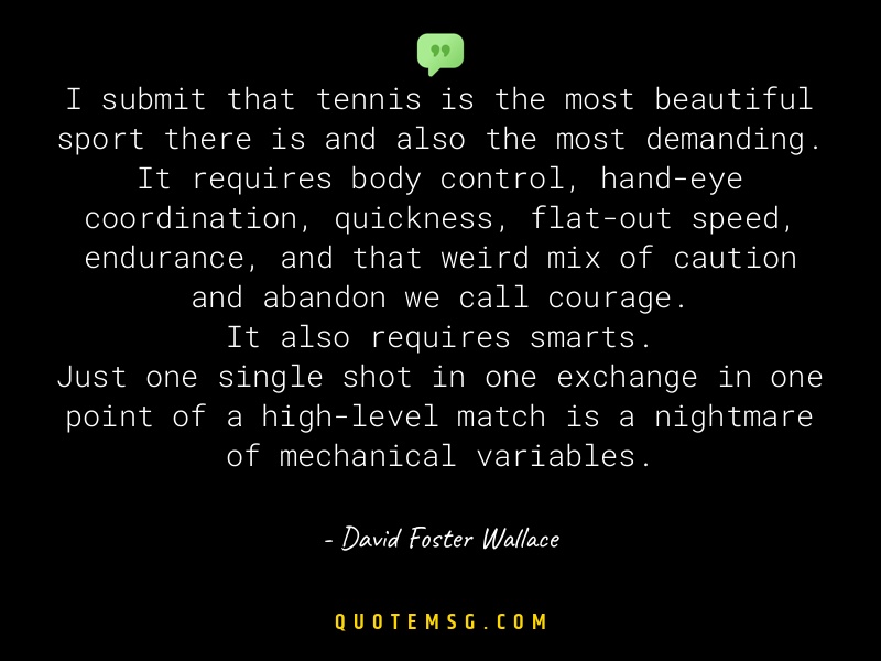 Image of David Foster Wallace