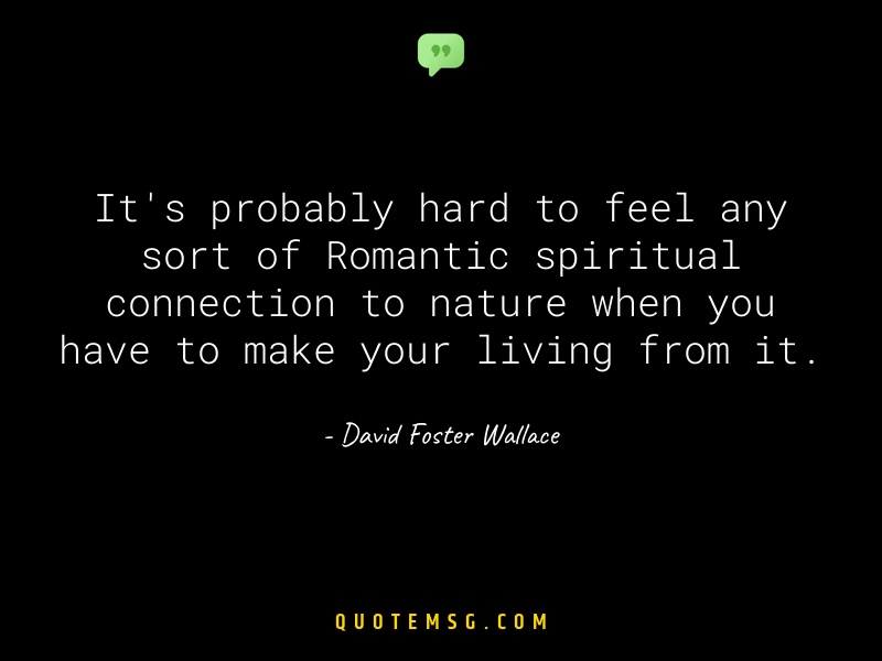 Image of David Foster Wallace