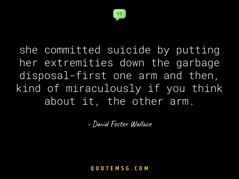 Image of David Foster Wallace