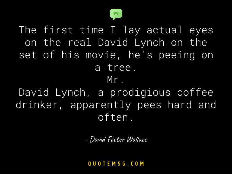 Image of David Foster Wallace