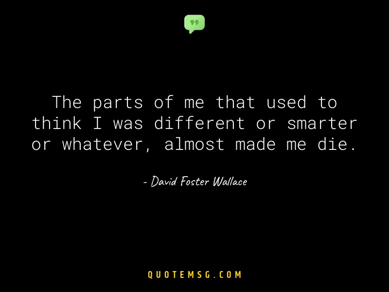 Image of David Foster Wallace