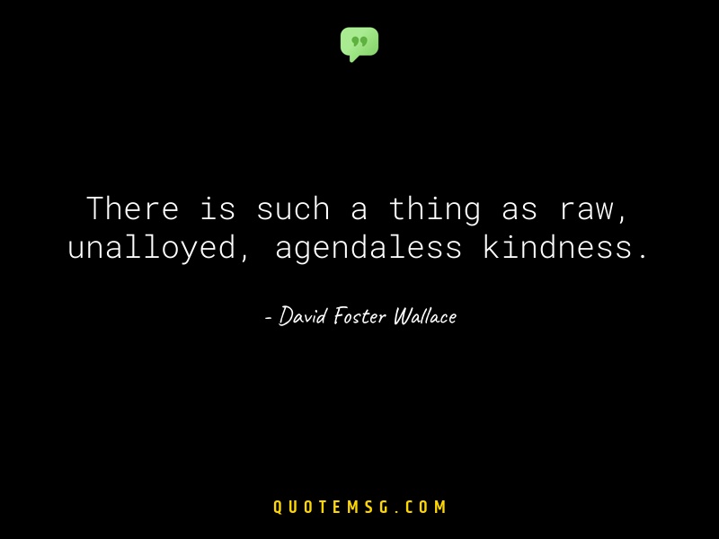 Image of David Foster Wallace