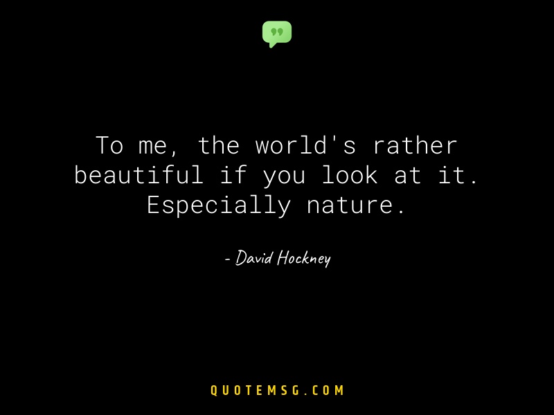 Image of David Hockney