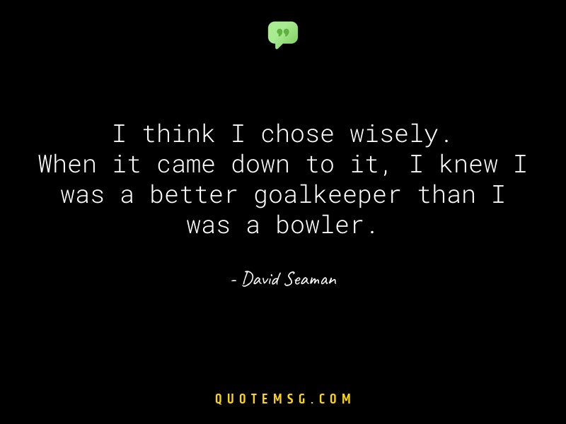 Image of David Seaman