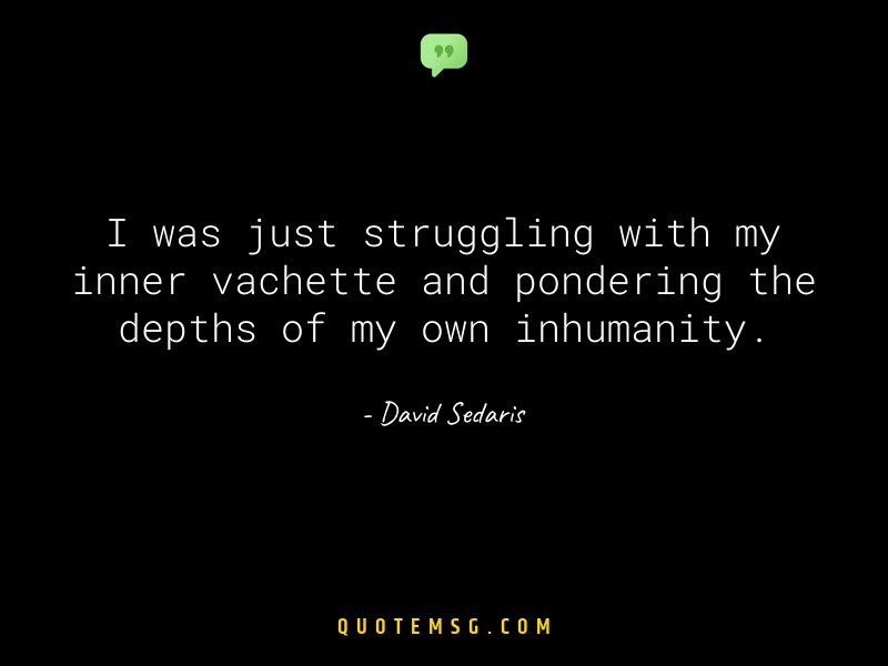 Image of David Sedaris