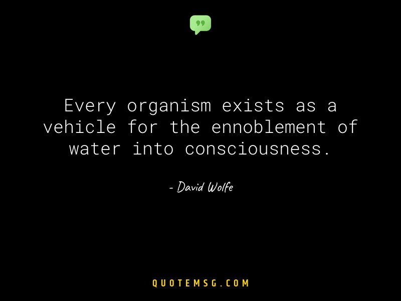 Image of David Wolfe