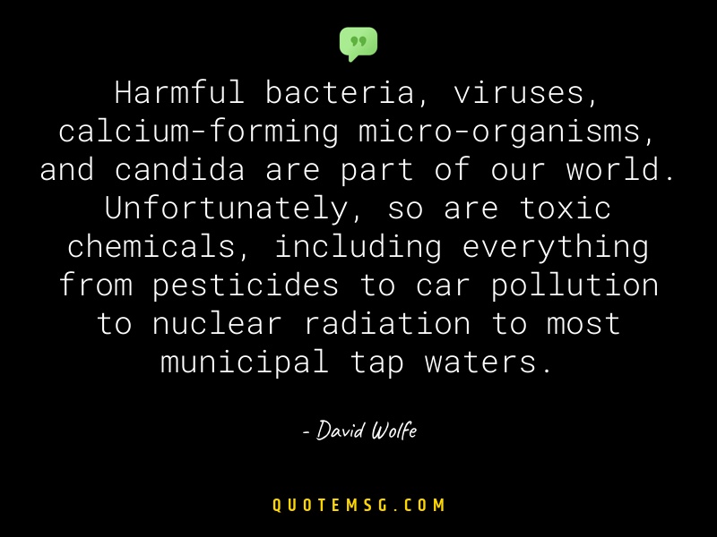 Image of David Wolfe