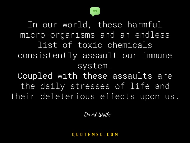 Image of David Wolfe