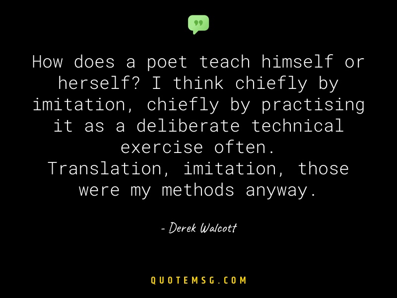 Image of Derek Walcott