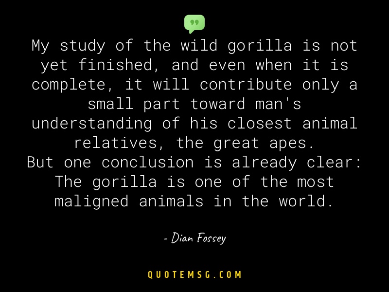 Image of Dian Fossey