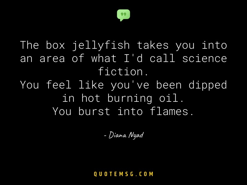 Image of Diana Nyad