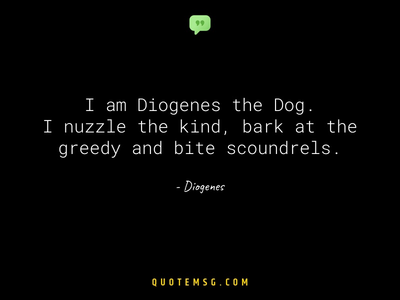 Image of Diogenes