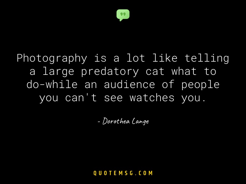 Image of Dorothea Lange