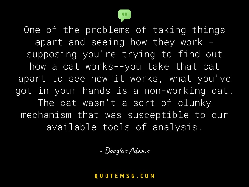 Image of Douglas Adams