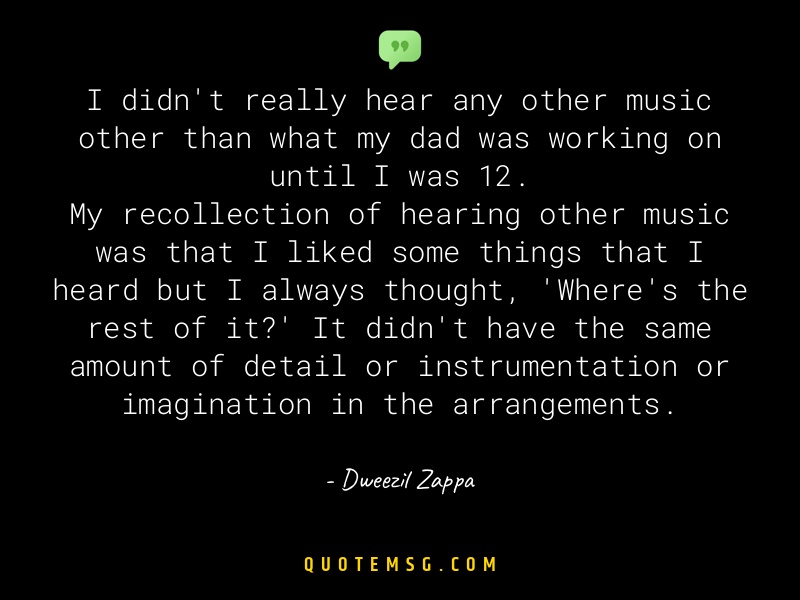 Image of Dweezil Zappa
