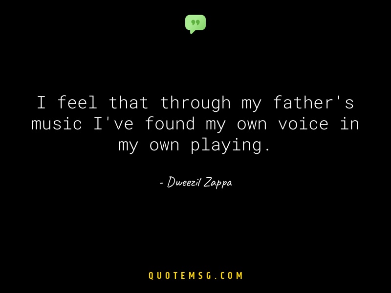 Image of Dweezil Zappa