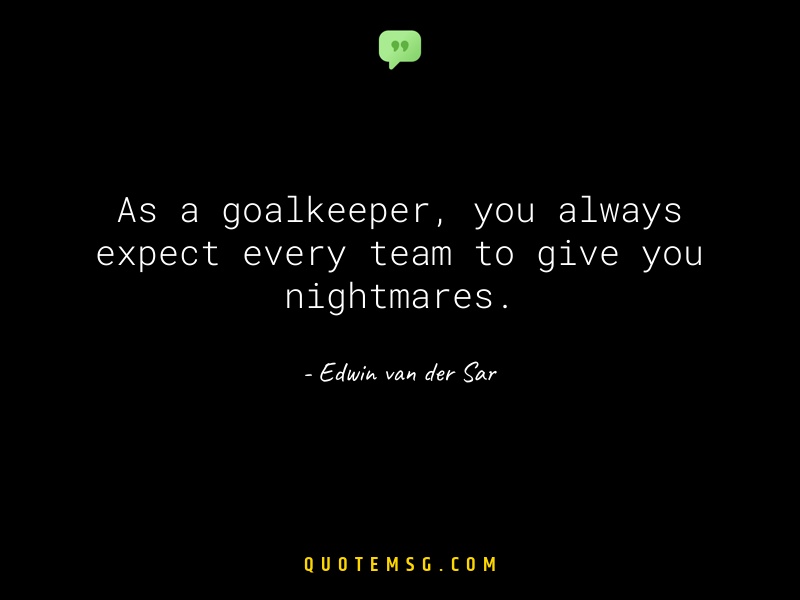 Image of Edwin van der Sar