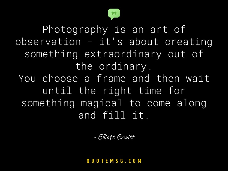 Image of Elliott Erwitt