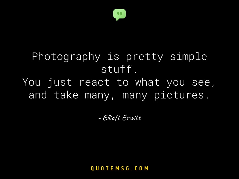 Image of Elliott Erwitt