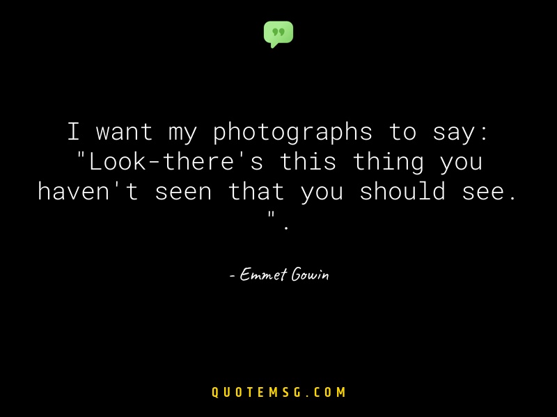 Image of Emmet Gowin