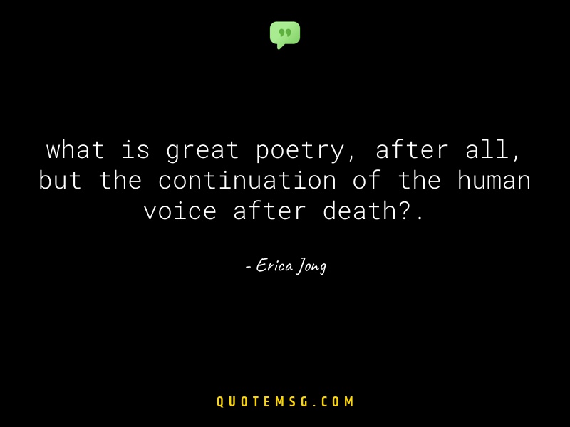 Image of Erica Jong