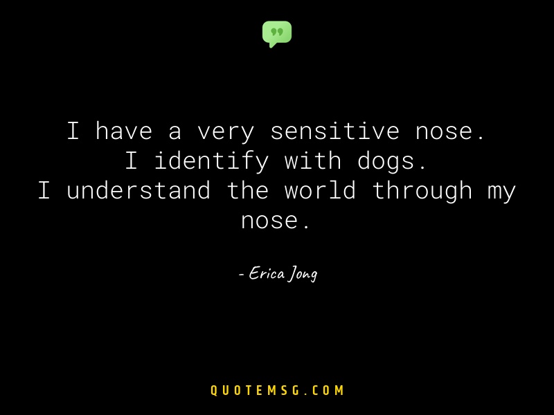 Image of Erica Jong