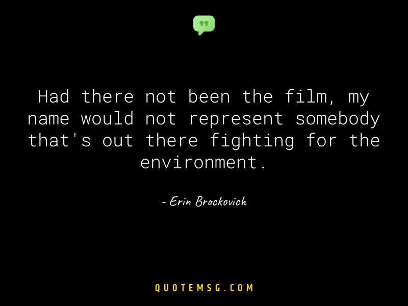 Image of Erin Brockovich