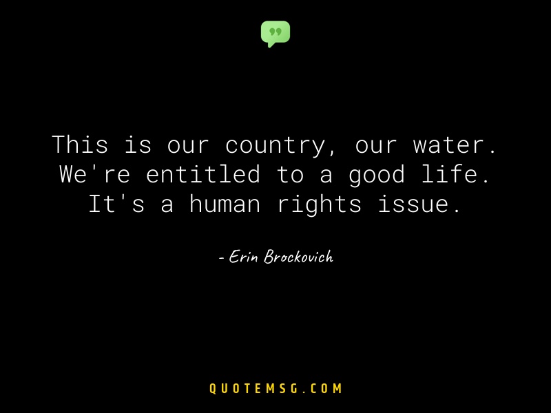 Image of Erin Brockovich