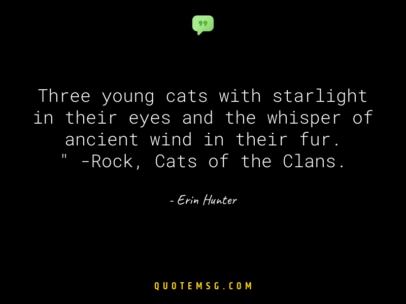 Image of Erin Hunter