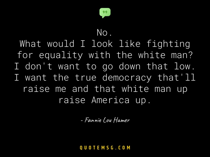 Image of Fannie Lou Hamer