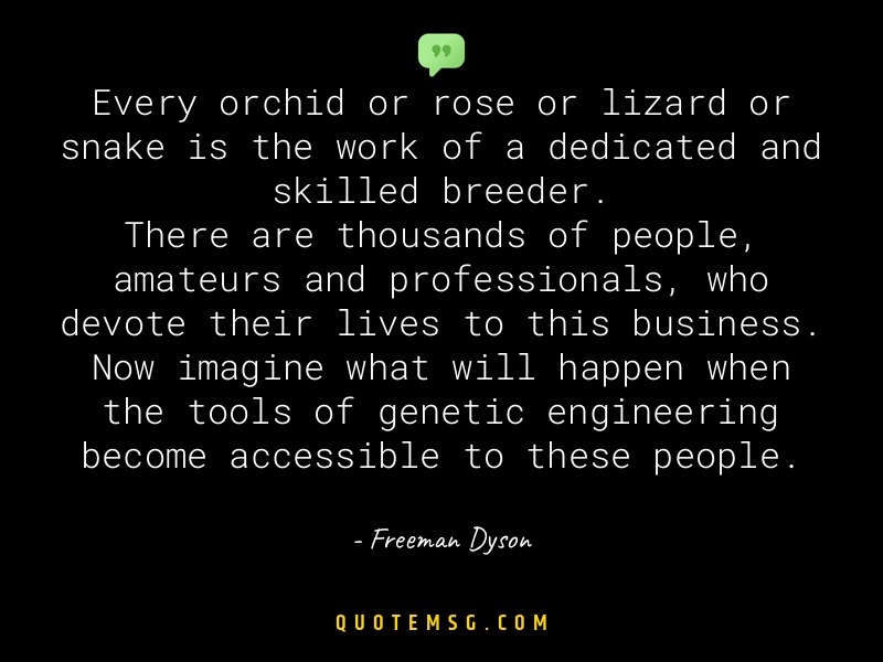 Image of Freeman Dyson