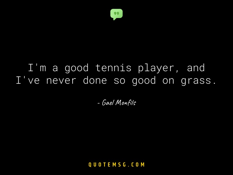 Image of Gael Monfils