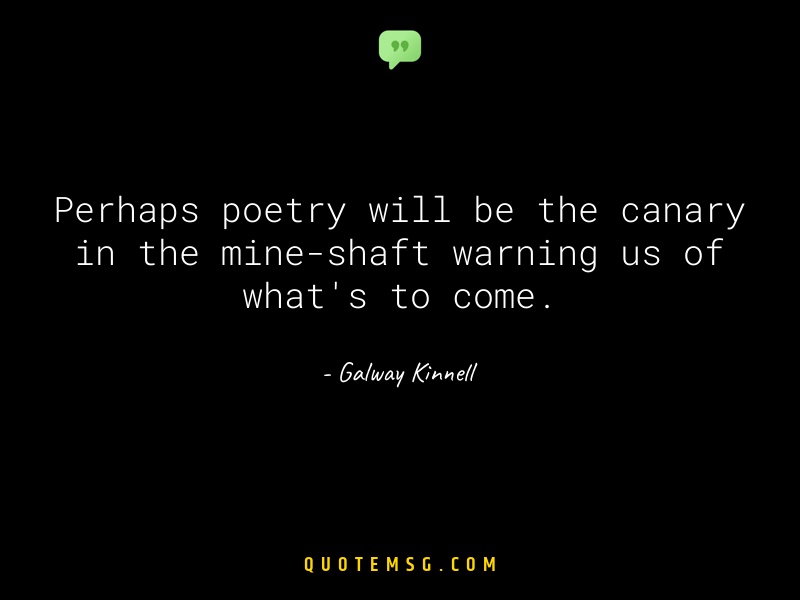 Image of Galway Kinnell