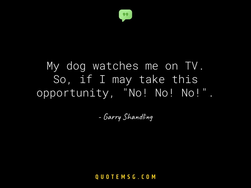 Image of Garry Shandling