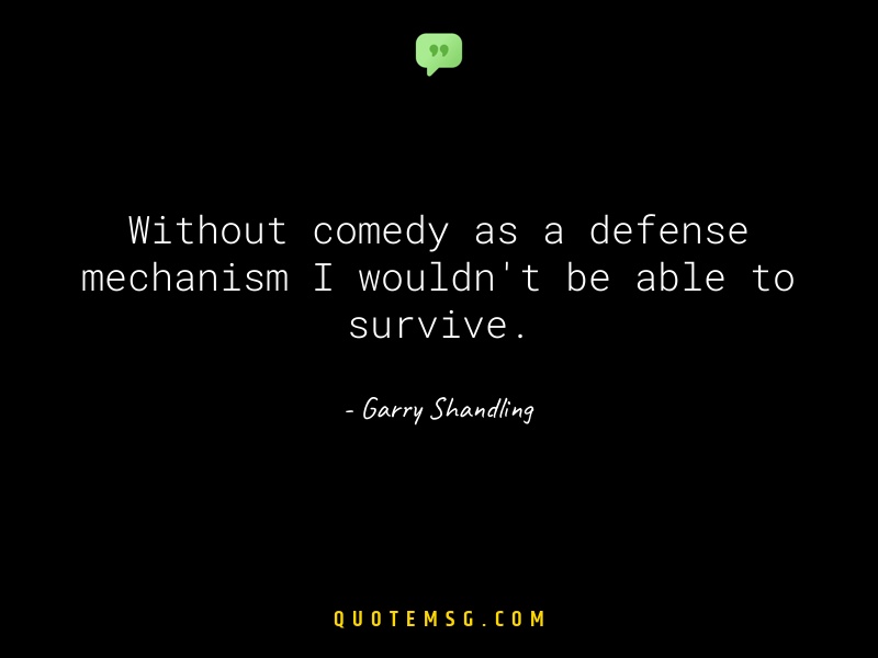 Image of Garry Shandling