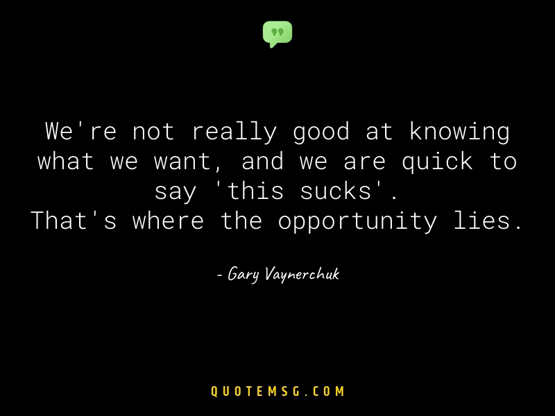 Image of Gary Vaynerchuk