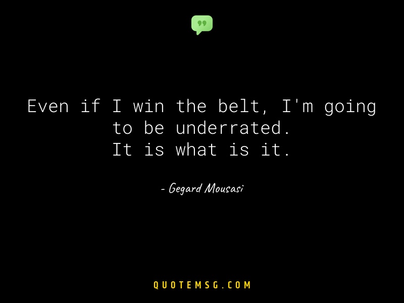 Image of Gegard Mousasi