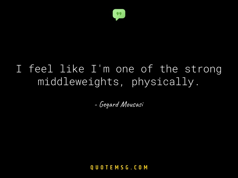 Image of Gegard Mousasi