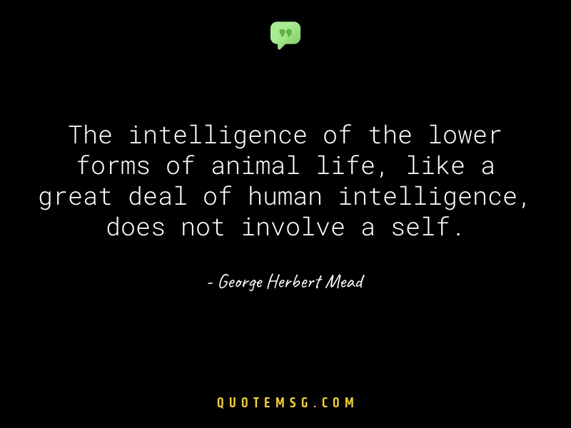 Image of George Herbert Mead