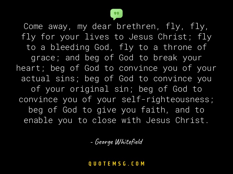 Image of George Whitefield