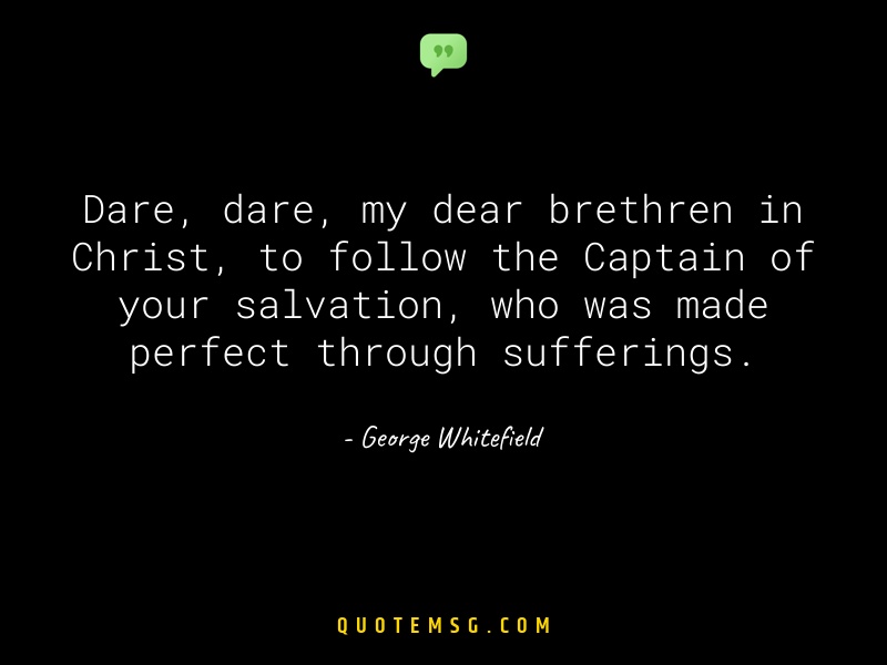 Image of George Whitefield